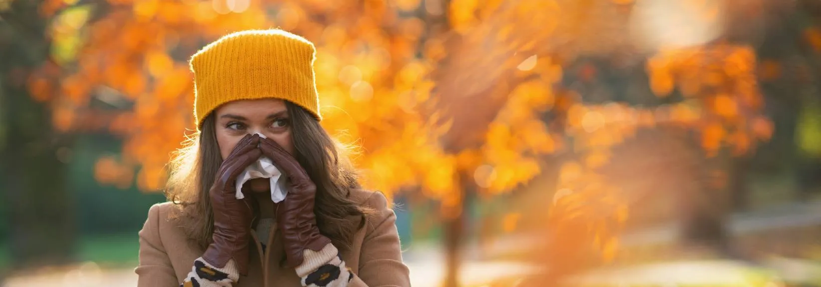 The Bryant Heating & Cooling Service Experts Guide to Fall Allergy Season blog image
